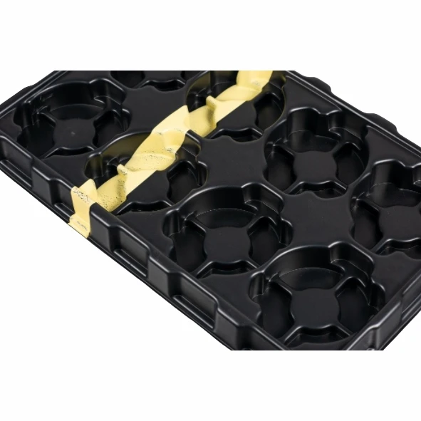 Thermoform Blister Packaging